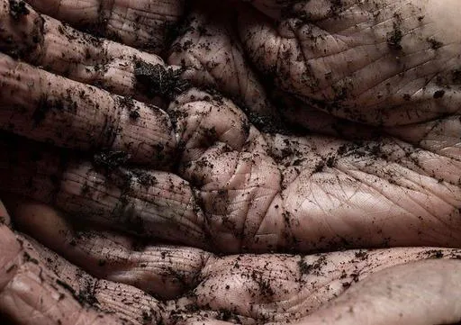 Soil Behavior Image